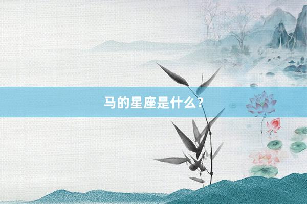 马的星座是什么？