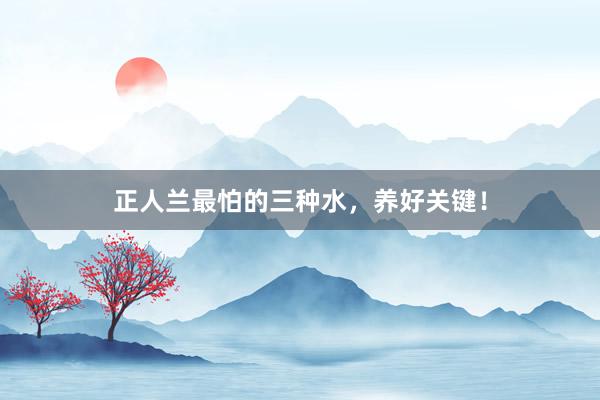 正人兰最怕的三种水，养好关键！