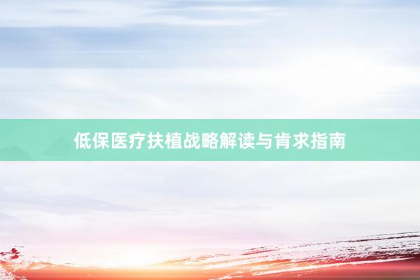 低保医疗扶植战略解读与肯求指南