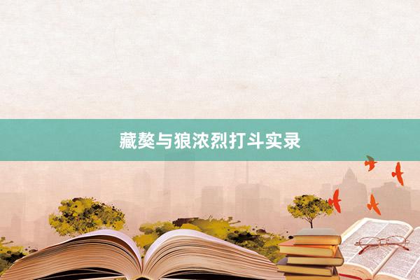 藏獒与狼浓烈打斗实录
