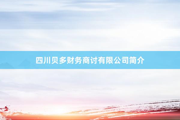 四川贝多财务商讨有限公司简介